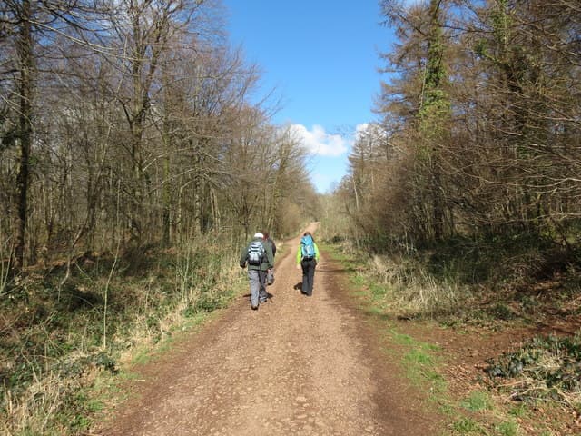 Exploring the Mysteries of Fforest Fawr