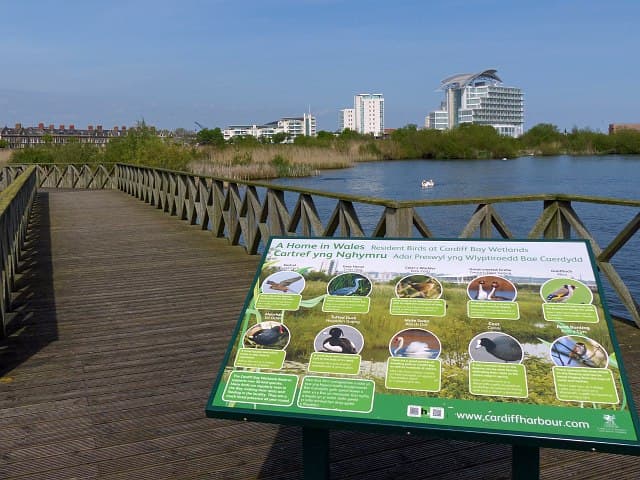 The Cardiff Bay Wetland Reserve: A Natural Haven in the Heart of the City